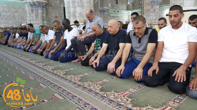 kaber ramla qder (3).jpg